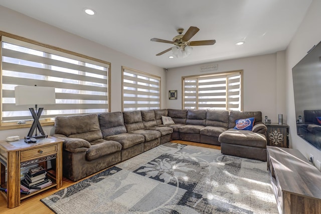 living room with ceiling fan, wood-type flooring, and a wealth of natural light