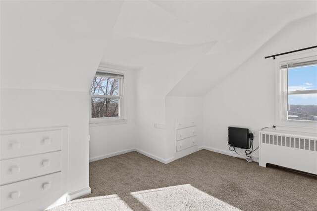 additional living space with carpet, radiator, and lofted ceiling