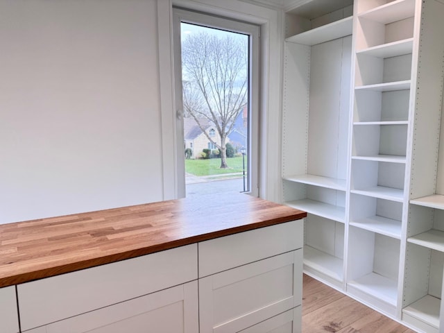 walk in closet featuring light hardwood / wood-style flooring