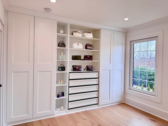 132 Arthur St, Garden City, NY 11530 - view of closet