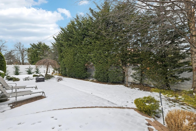 view of yard covered in snow