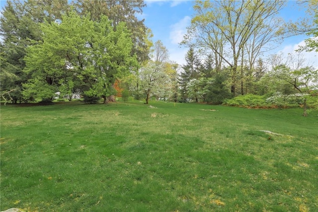 Listing photo 2 for 32-5 Orchard Dr, Armonk NY 10504