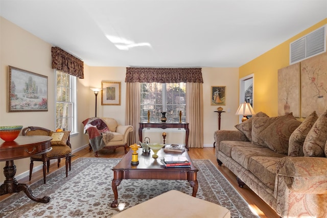 living room featuring hardwood / wood-style flooring and a healthy amount of sunlight