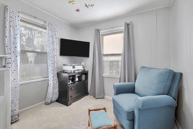 living area featuring light colored carpet