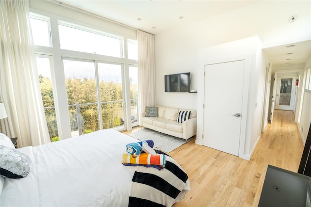 bedroom featuring multiple windows and light wood-type flooring