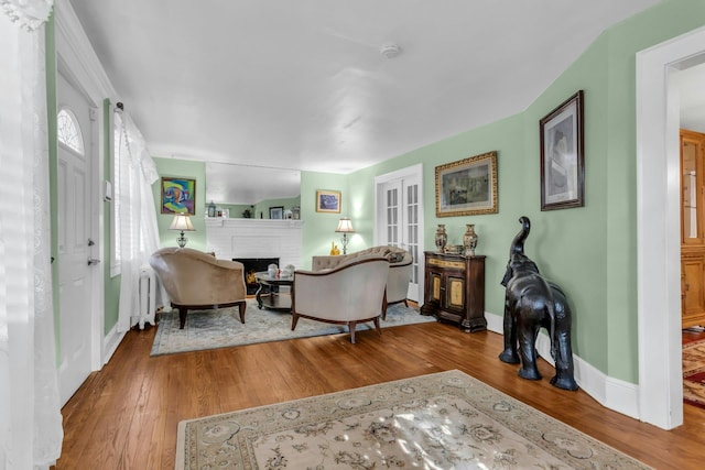 living room with a fireplace and wood-type flooring