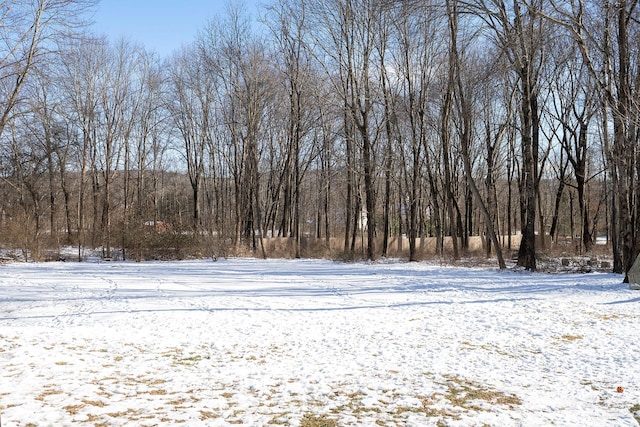 view of yard covered in snow