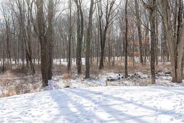 view of yard covered in snow