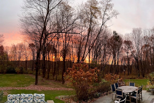 yard at dusk with a patio