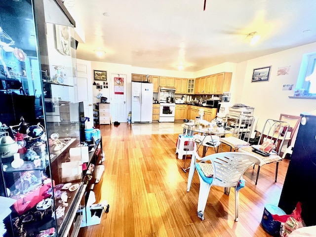 interior space with light hardwood / wood-style flooring