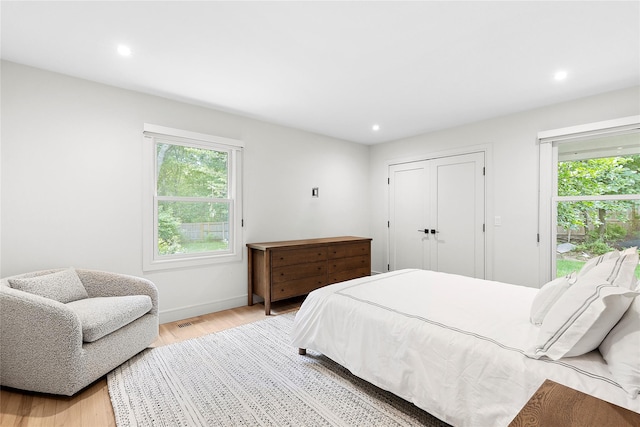 bedroom with multiple windows, access to outside, light hardwood / wood-style floors, and a closet