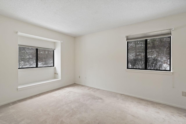 spare room featuring light colored carpet and a textured ceiling