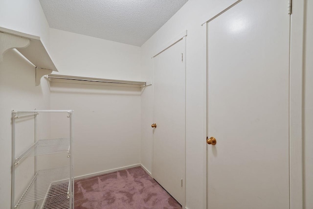 spacious closet featuring light colored carpet