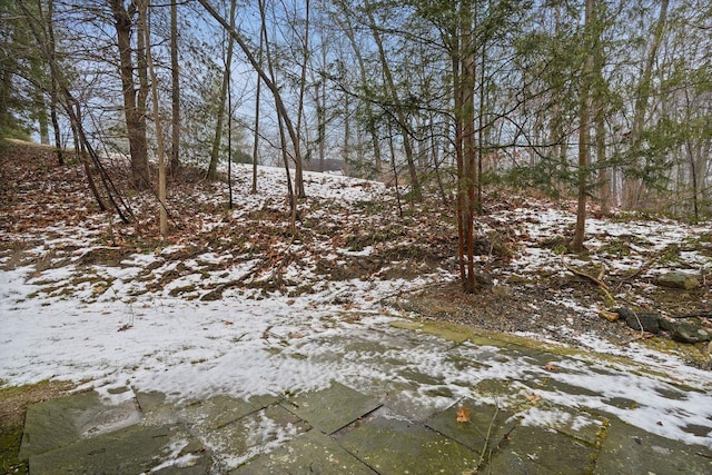 view of snowy landscape