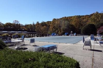 view of swimming pool featuring a patio