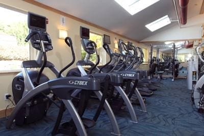 workout area featuring carpet flooring and vaulted ceiling with skylight