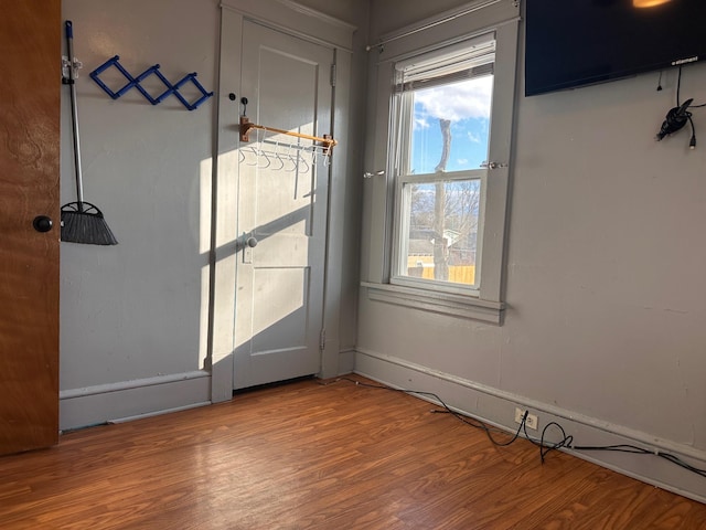 doorway featuring wood-type flooring