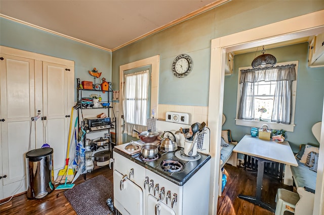 kitchen with crown molding, dark wood-type flooring, a wealth of natural light, and white cabinets