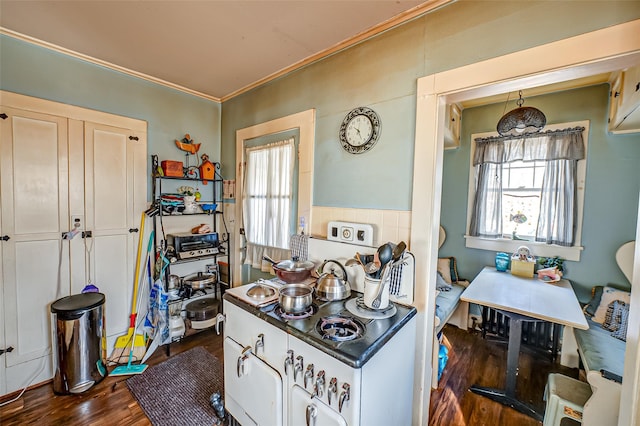 kitchen with dark wood finished floors, dark countertops, and crown molding