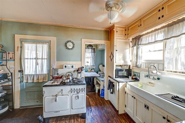 kitchen with a ceiling fan, plenty of natural light, dark wood-style flooring, and black microwave