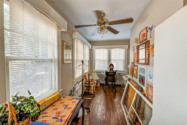 home office with ceiling fan and dark wood finished floors