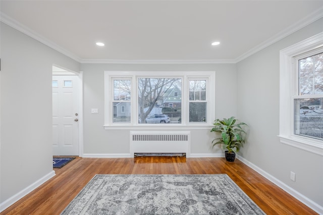 living area with wood-type flooring, plenty of natural light, and radiator