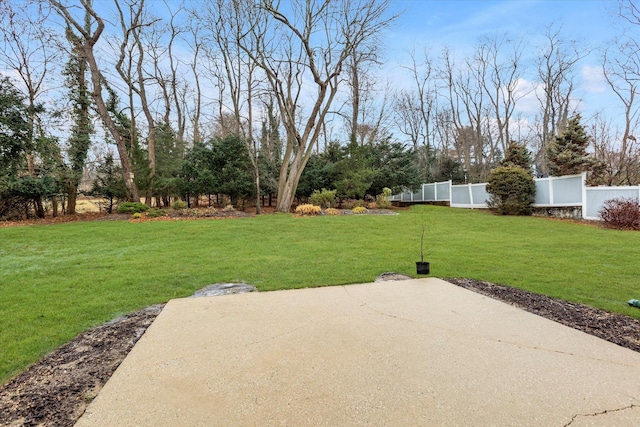 view of yard featuring a patio area