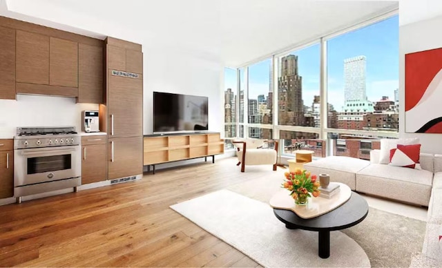 living room with floor to ceiling windows and light hardwood / wood-style floors