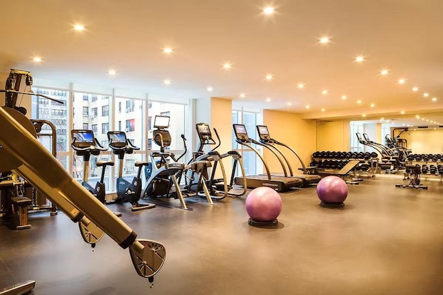 workout area featuring plenty of natural light and expansive windows