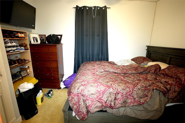 bedroom with carpet flooring