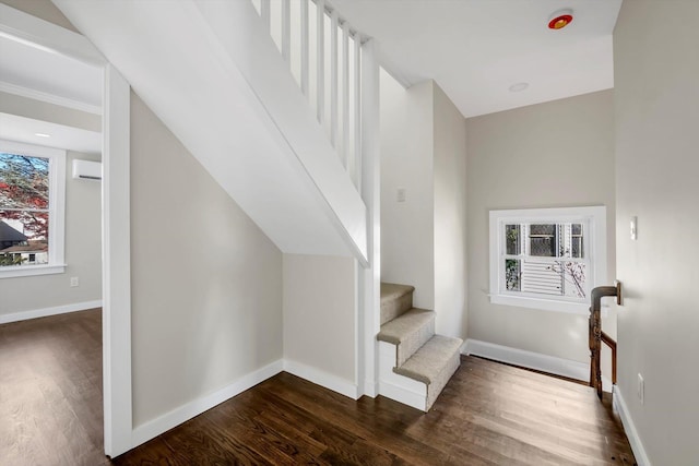 staircase featuring plenty of natural light and wood-type flooring