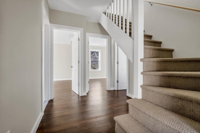 staircase featuring hardwood / wood-style flooring