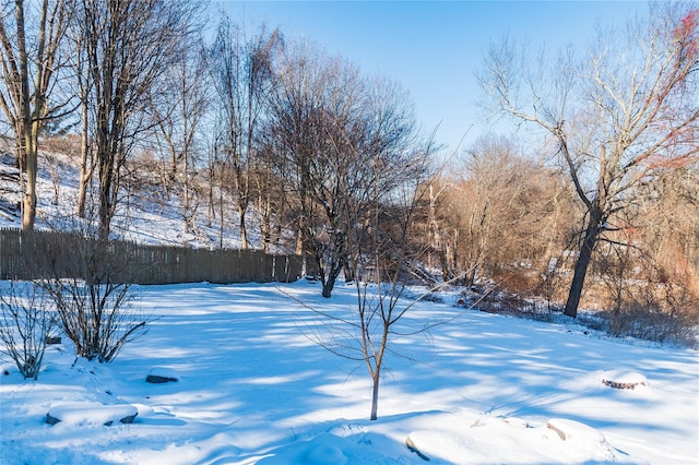 view of yard layered in snow