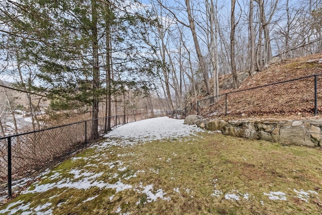 view of snowy yard