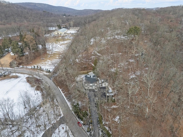 snowy aerial view with a mountain view