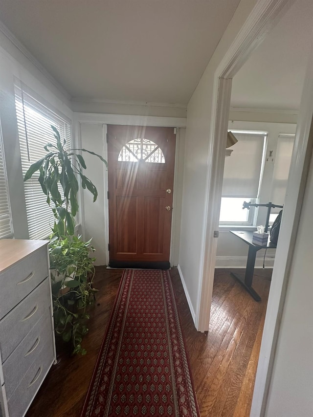 doorway with ornamental molding and dark wood-type flooring