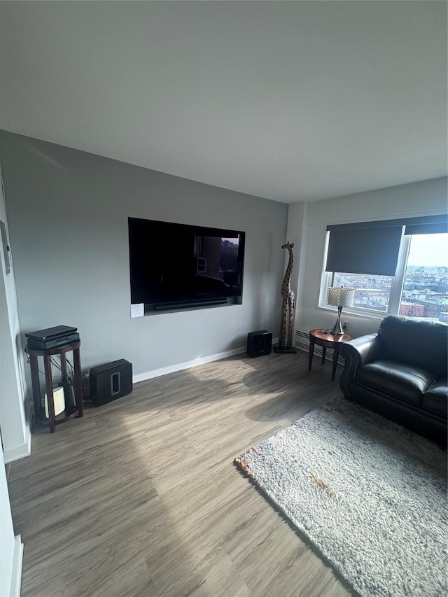 living room with hardwood / wood-style floors