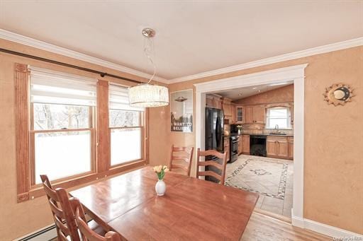 dining area with lofted ceiling, sink, ornamental molding, and baseboard heating