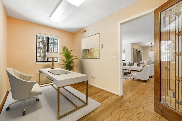 office space featuring light hardwood / wood-style flooring and a textured ceiling