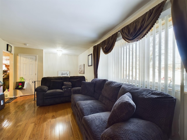 living room with wood-type flooring