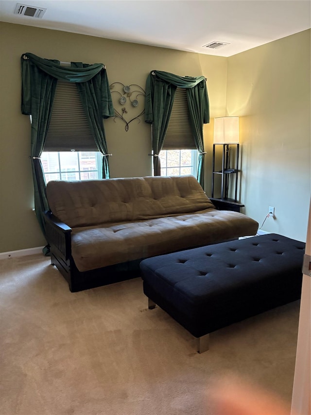 living room featuring light colored carpet