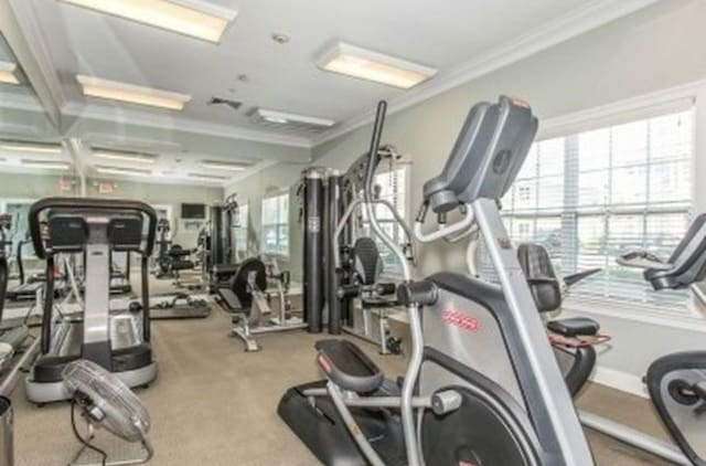 workout area featuring crown molding and carpet floors