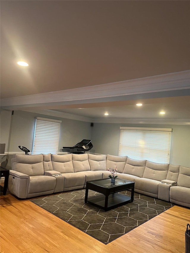 living room featuring crown molding and hardwood / wood-style flooring