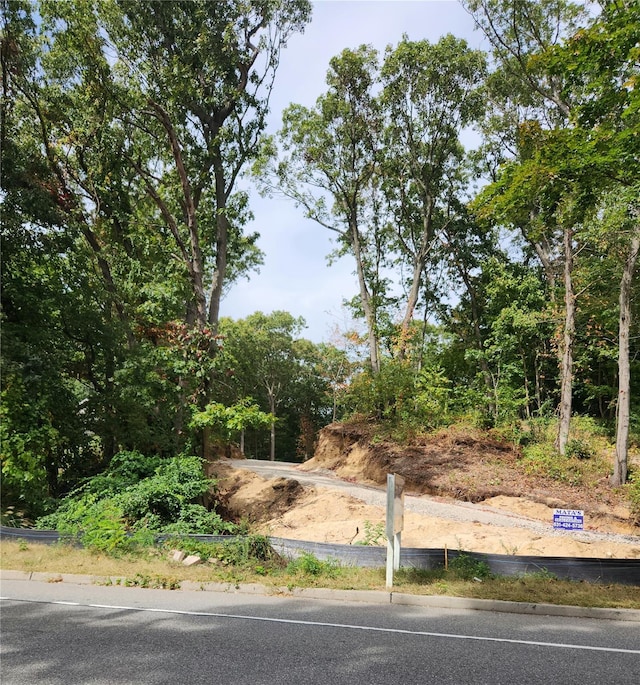 597 Pulaski, Kings Park, NY 11754 - view of road