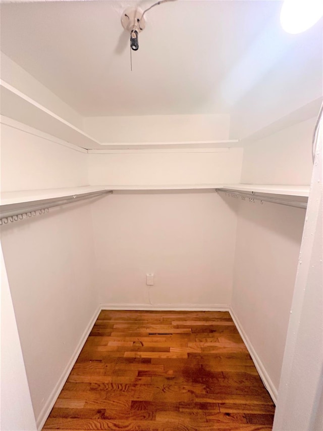 spacious closet featuring dark hardwood / wood-style flooring