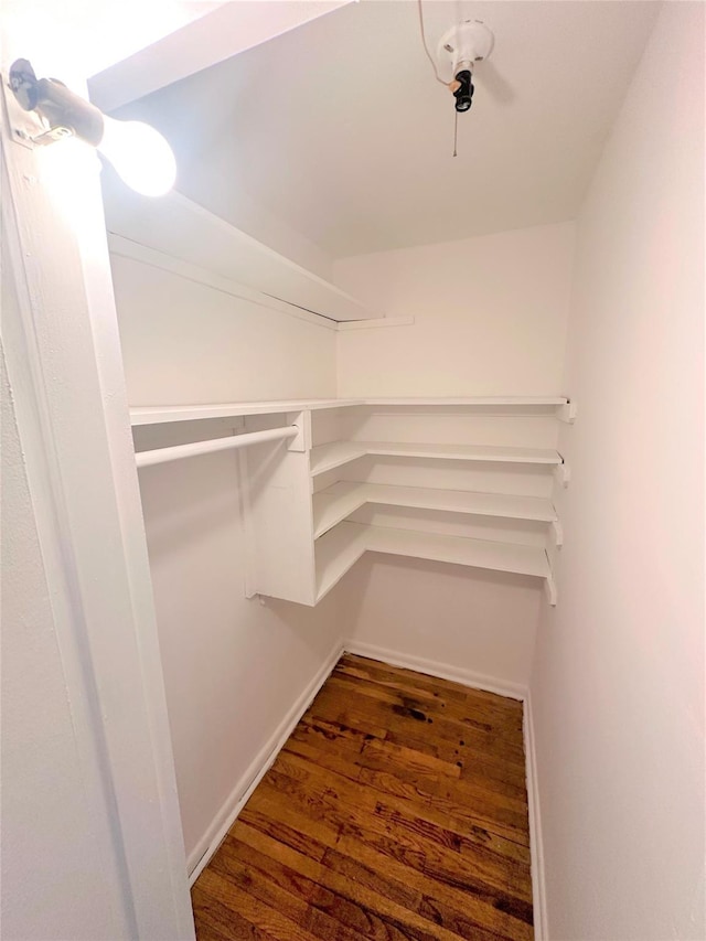 walk in closet featuring dark hardwood / wood-style floors