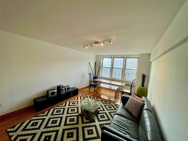 living room featuring hardwood / wood-style floors