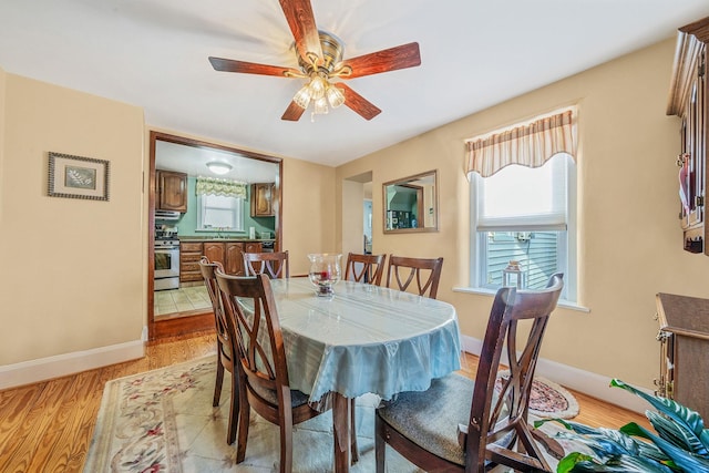 dining area with ceiling fan, a healthy amount of sunlight, and light hardwood / wood-style floors