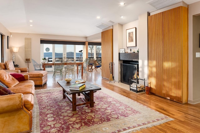 living room featuring light hardwood / wood-style flooring