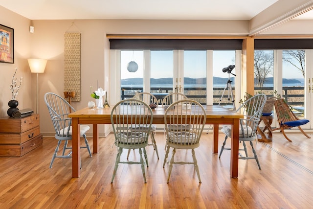 dining area featuring a water and mountain view and light wood-type flooring